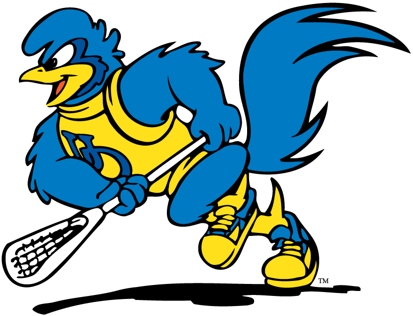 delaware blue hens 1993-pres mascot logo t shirts iron on transfers v4